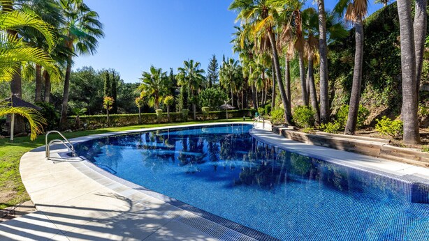 Une piscine à l’eau d’un bleu cristallin, entourée de palmiers et bordée d’une pelouse bien entretenue.