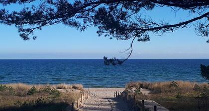 Villa Strandmuschel Ferienwohnung Sabrina - Ferienwohnung Sabrina