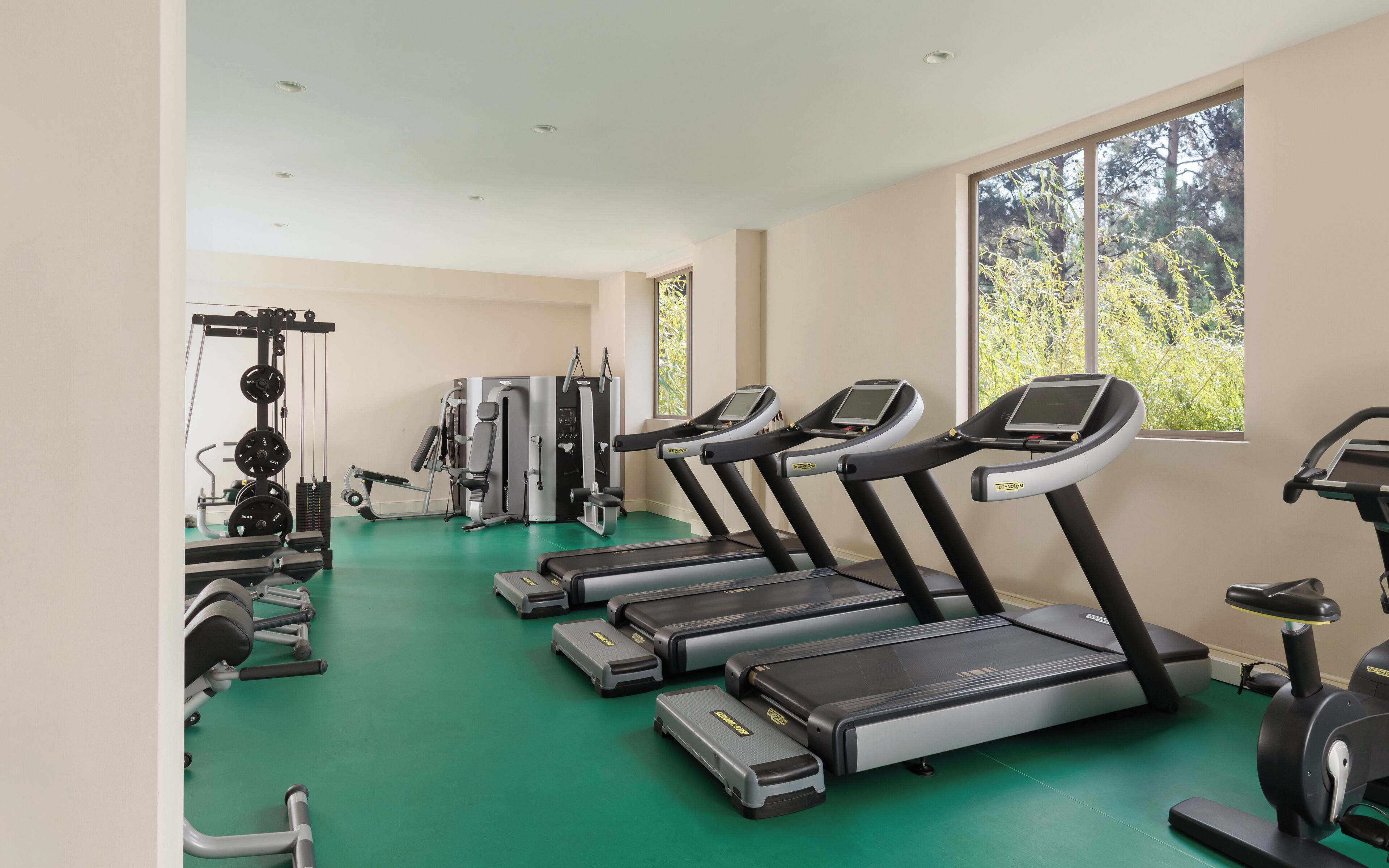 A gym with treadmills, weight machines, and free weights.