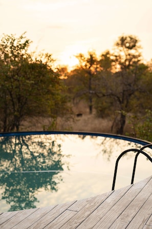 Una piscina al aire libre, sombrillas, sillones reclinables de piscina