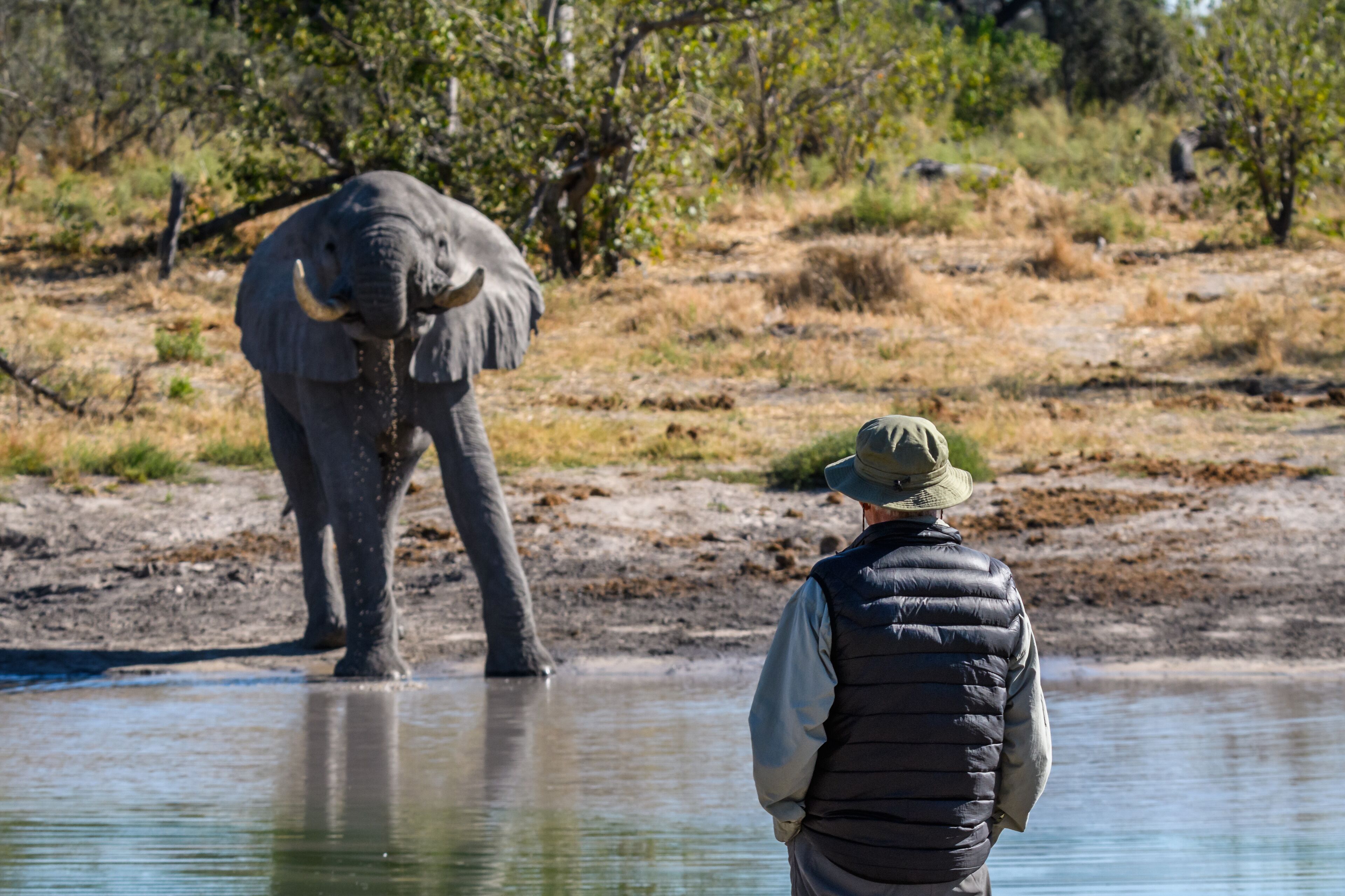 A person standing by a body of water with an elephant in the background.