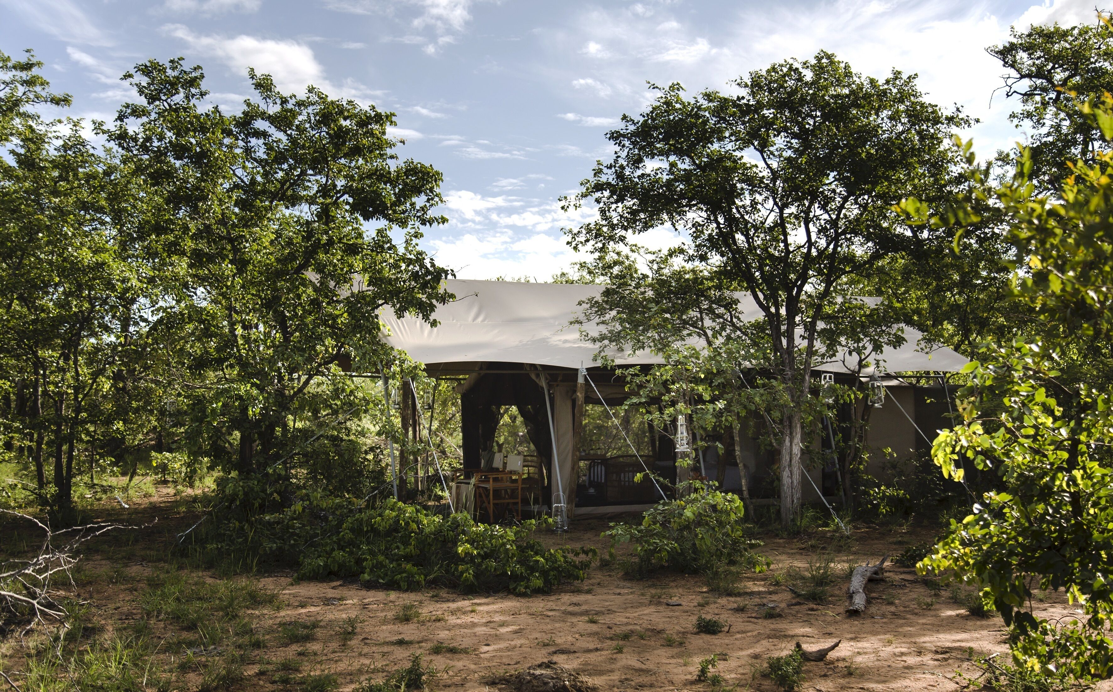 A tented structure surrounded by dense foliage, with a dirt ground and a wooden table under the canopy.