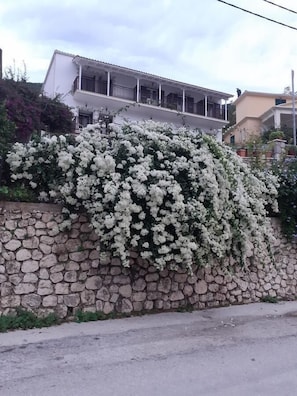 Front of property - Pension Holidays (Lefkada)