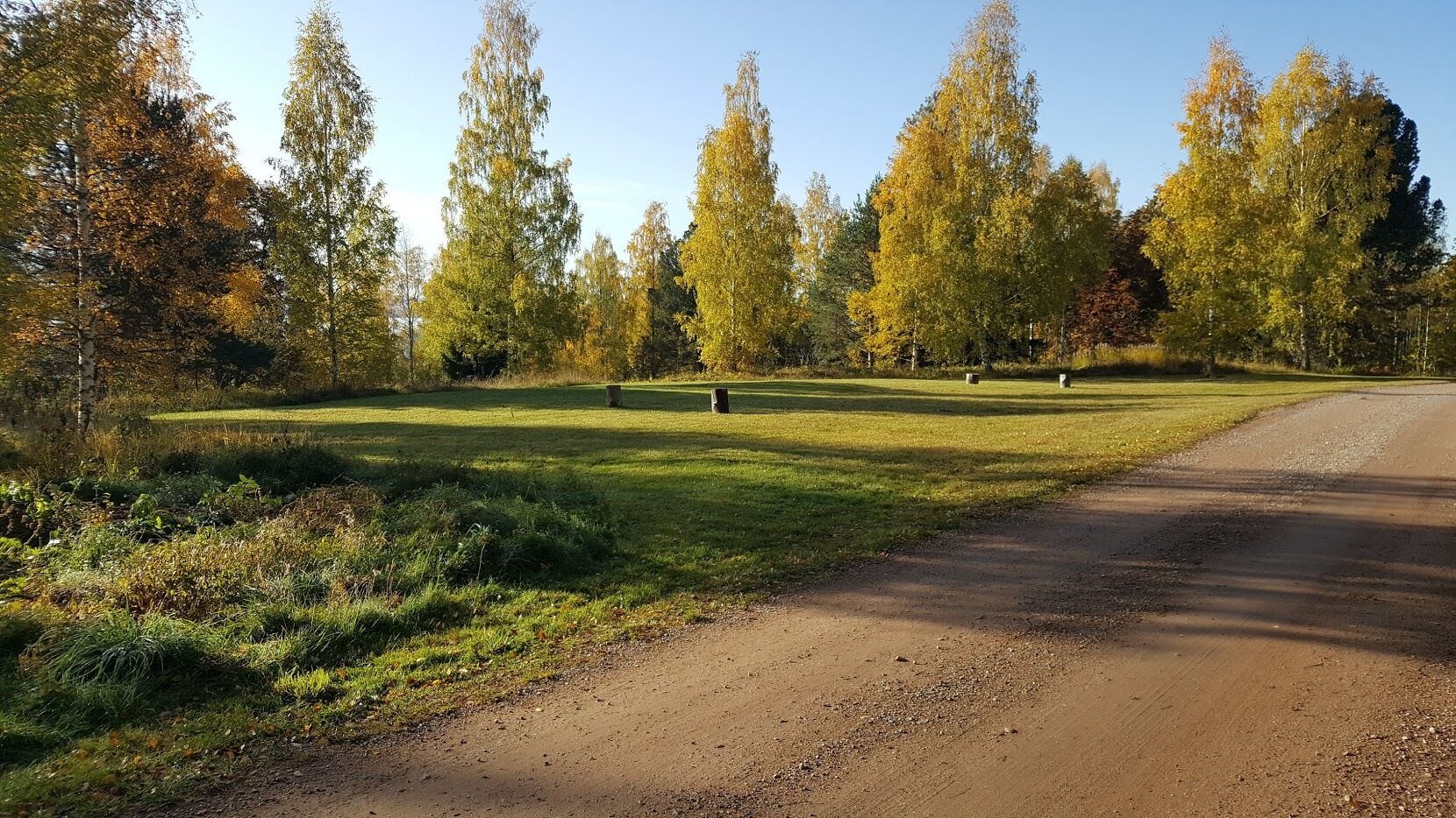 A dirt path leading into a grassy area with trees and a clear sky.