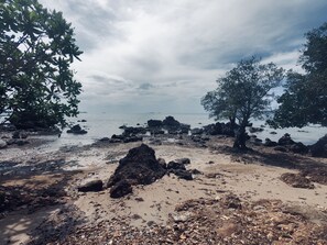 Beach/ocean view