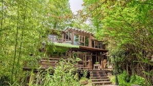 A wooden cabin nestled in a lush forest, surrounded by dense bamboo and greenery. - Guyue Caotang (Huzhou)