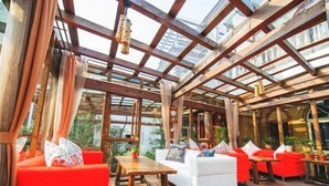 A covered outdoor seating area with wooden beams and glass panels, featuring red and white furniture and potted plants. - Guyue Caotang (Huzhou)