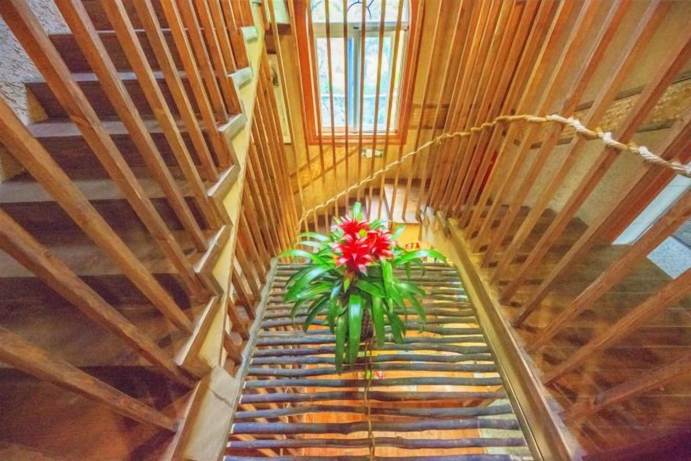 A wooden staircase with a railing and a potted plant at the bottom.