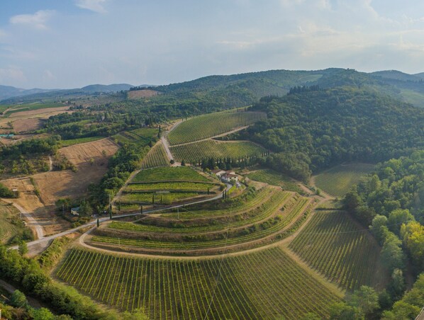 Phong cảnh nhìn từ nơi lưu trú