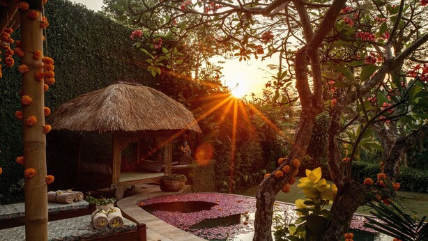 A serene garden with a thatched-roof pavilion, a small pond with lily pads, and a variety of plants and trees. - Heavenly 3B/R Villa, Rice Field views & 10 min to popular Bali areas (seminyak)