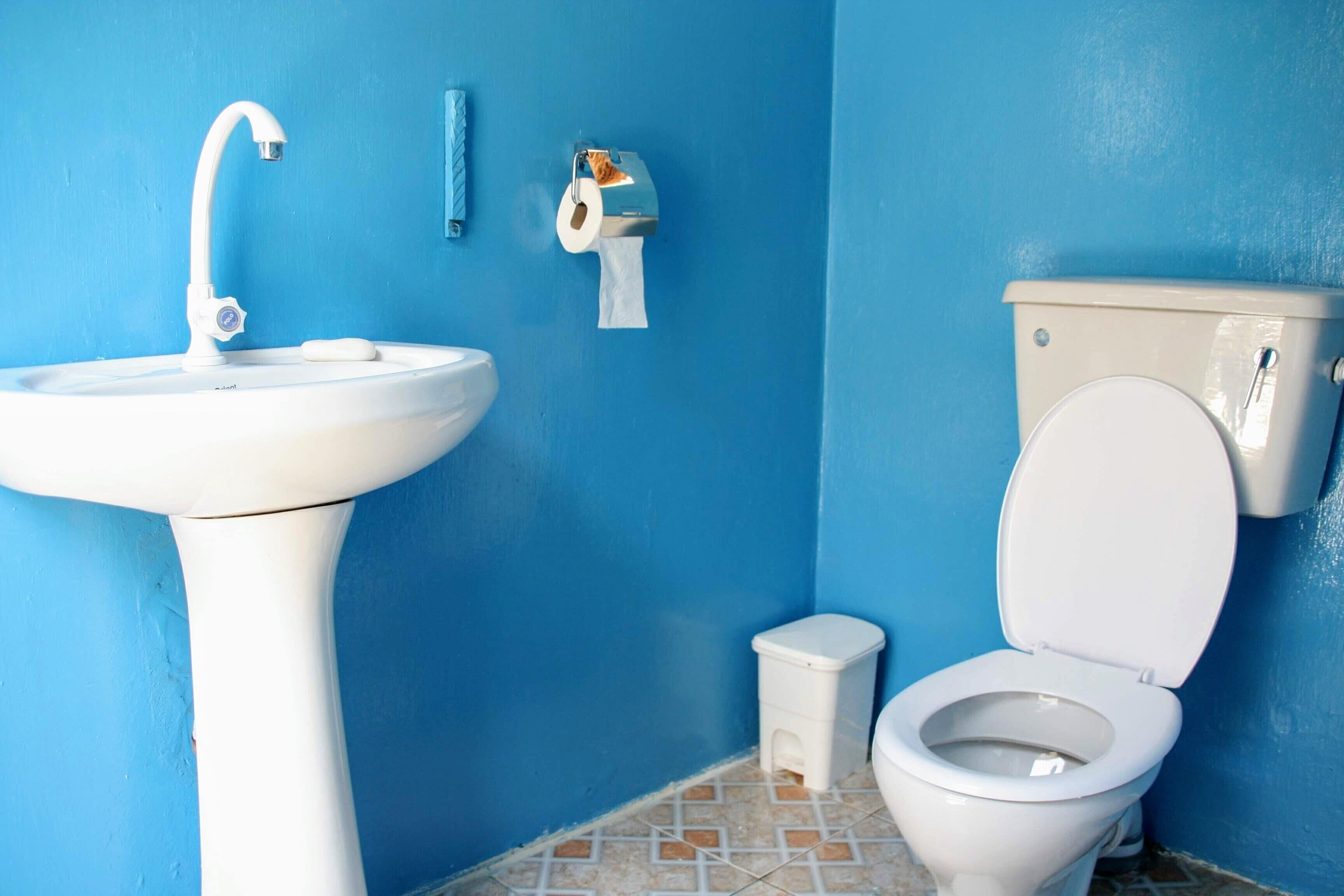 A bathroom with a white sink, toilet, and blue walls.