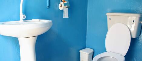 A bathroom with a white sink, toilet, and blue walls.