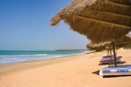 En la playa, arena blanca, sillas reclinables de playa, sombrillas. Tamba Kuruba Eco lodge