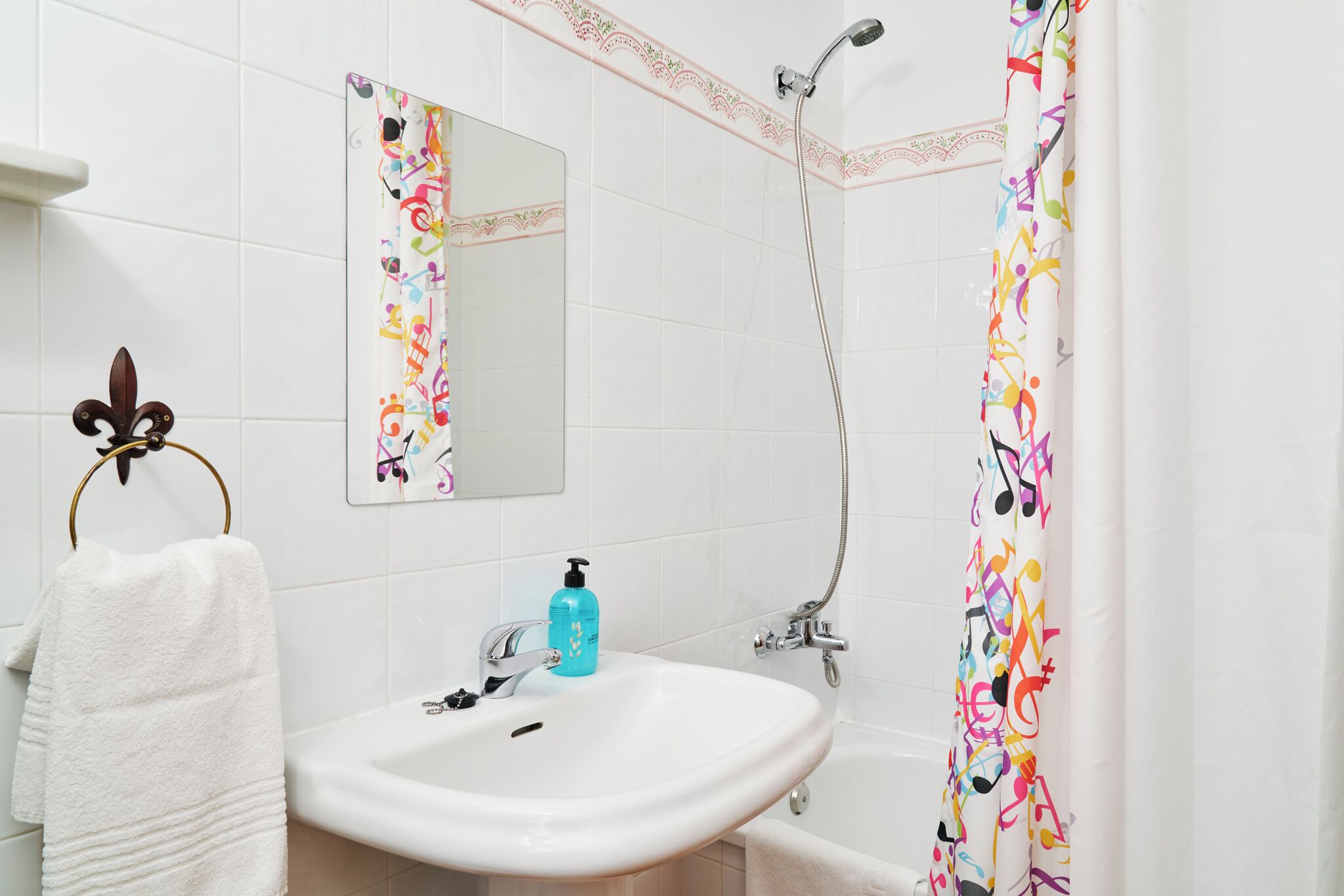 Secador de pelo, toallas, champú y papel higiénico