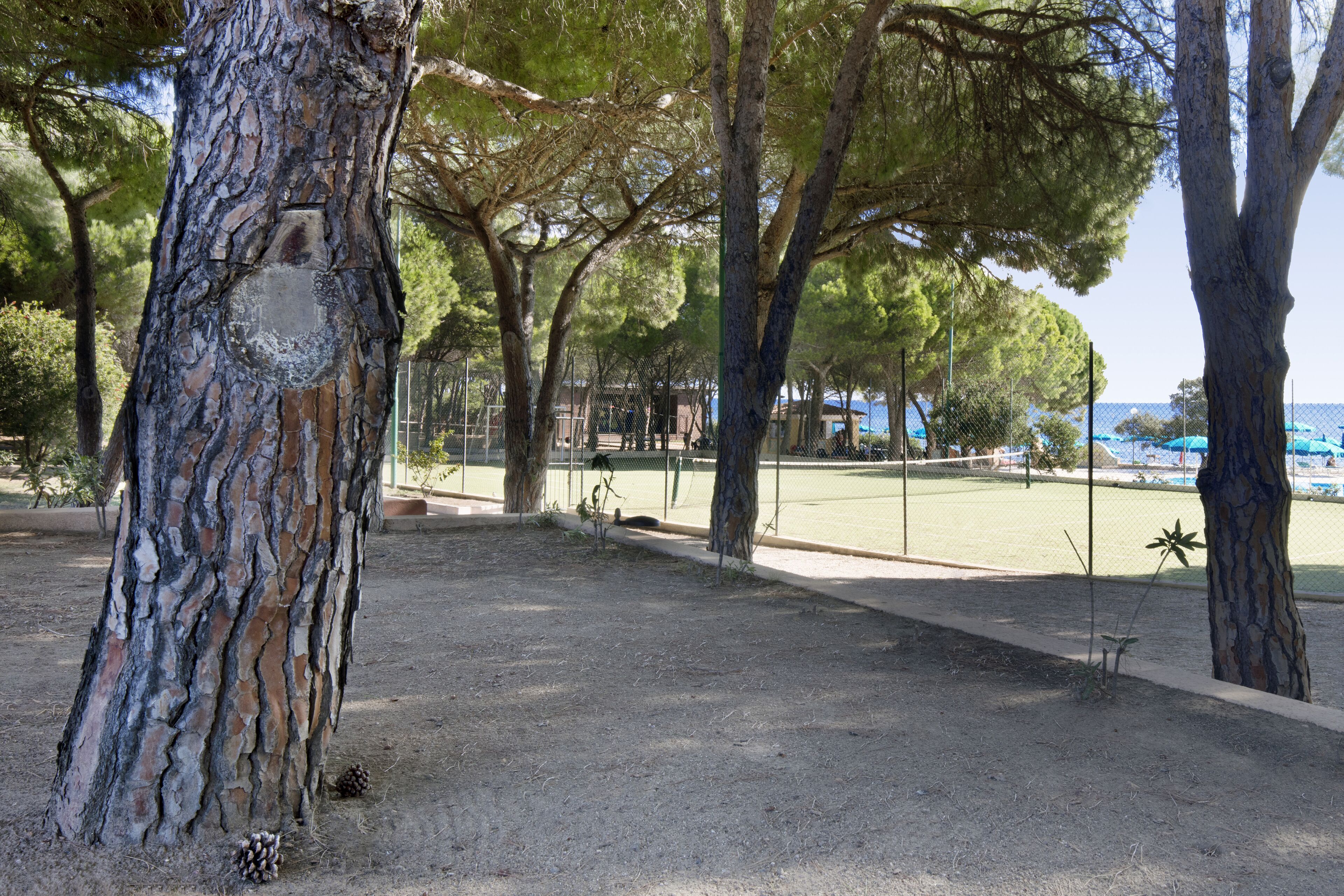 Foto - Club Hotel Marina Seada Beach