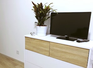 Television