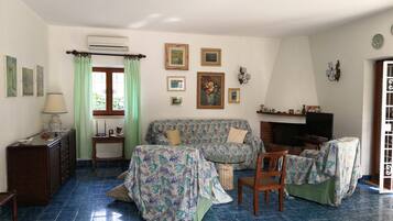 Flat-screen TV, fireplace