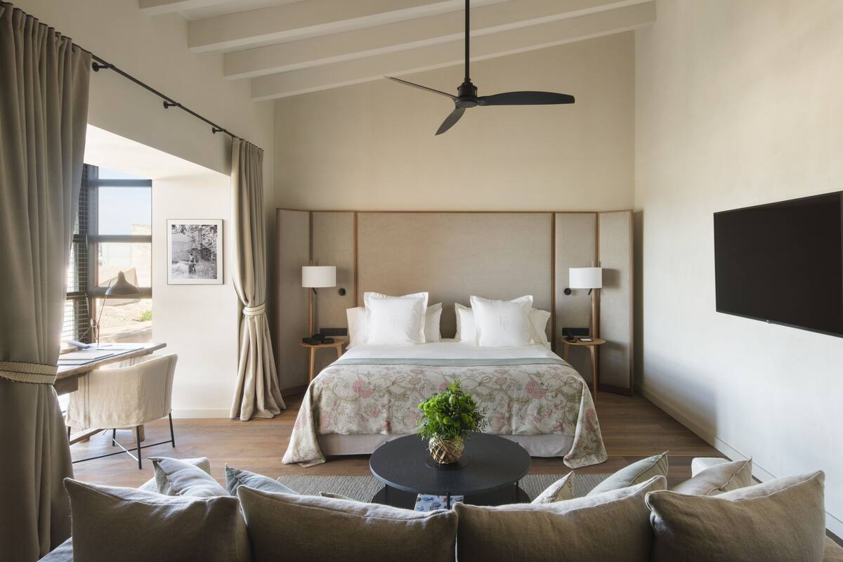 A hotel room with a bed, bedside lamps, a flat-screen TV, a round table with a plant, and a view of the outdoors.