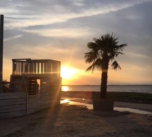 بالقرب من الشاطئ