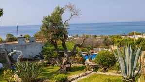 A garden with a pool, a large agave plant, and a view of the sea. - Villa Paiare with private pool on the Ionian sea (Torre Vado)