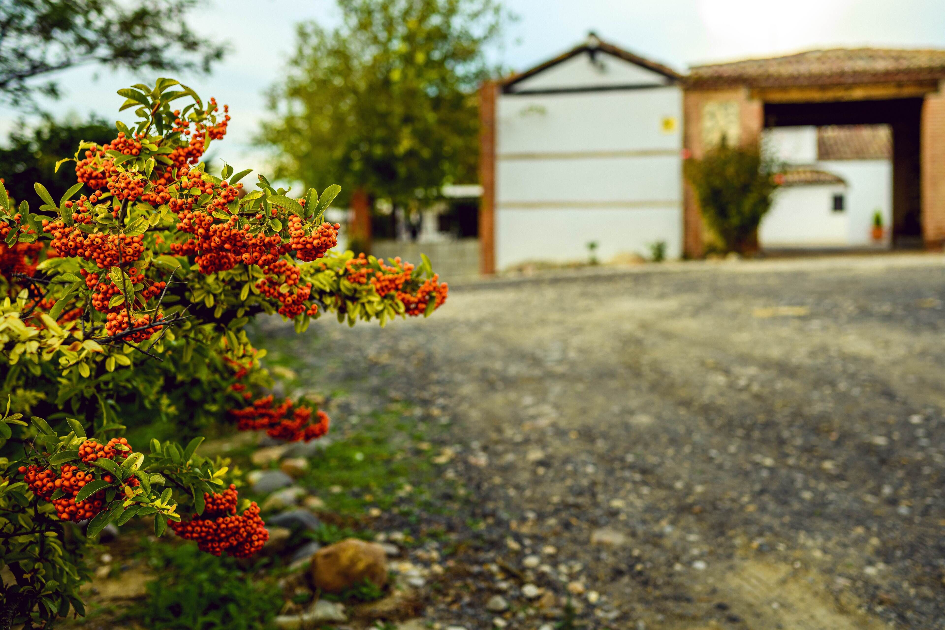 A gravel driveway leading to a building with a tiled roof and a white exterior.