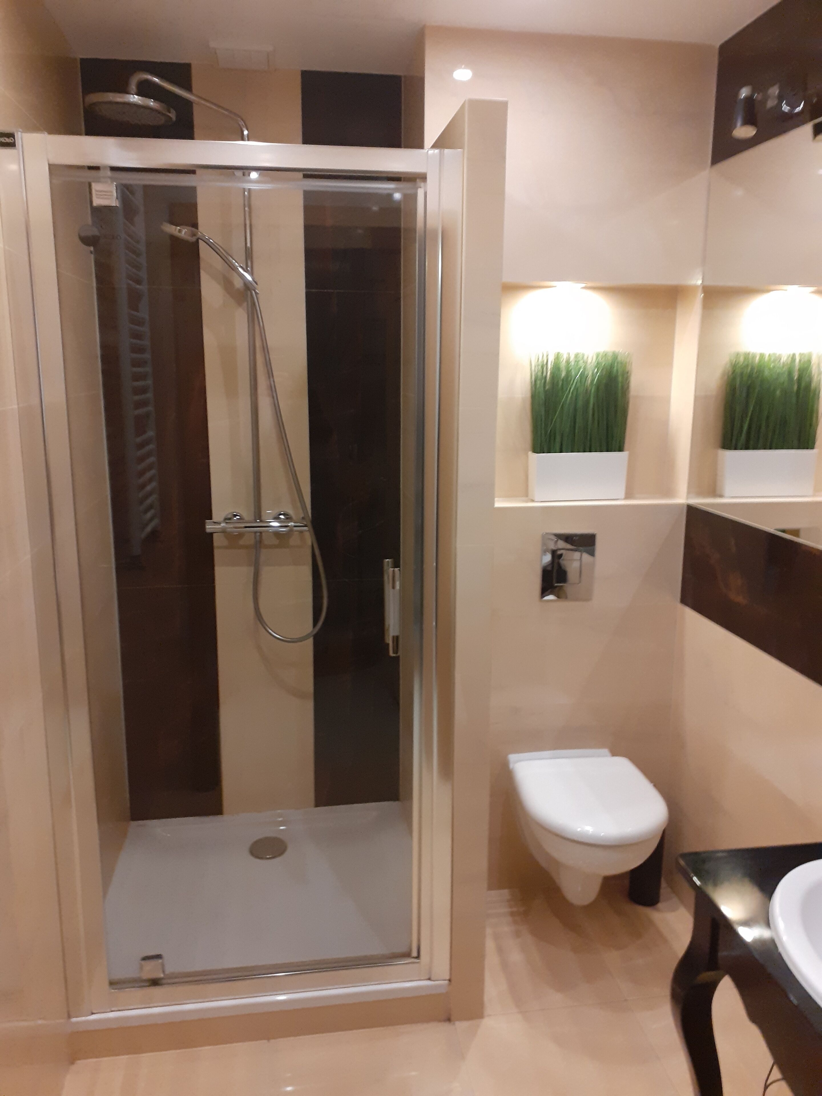 Duplex | Bathroom shower