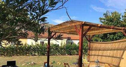 "Pibe Apartment" near the beaches of Maratea with a 3500 sq m garden.