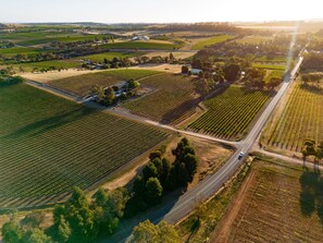 An aerial view of a vineyard with rows of grapevines, a road, and a building with a green roof.
