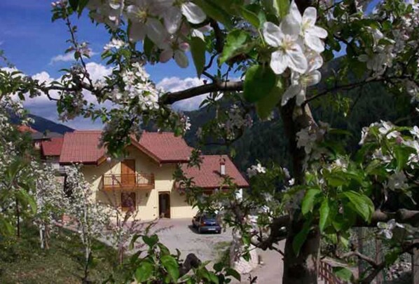 Boendeområde