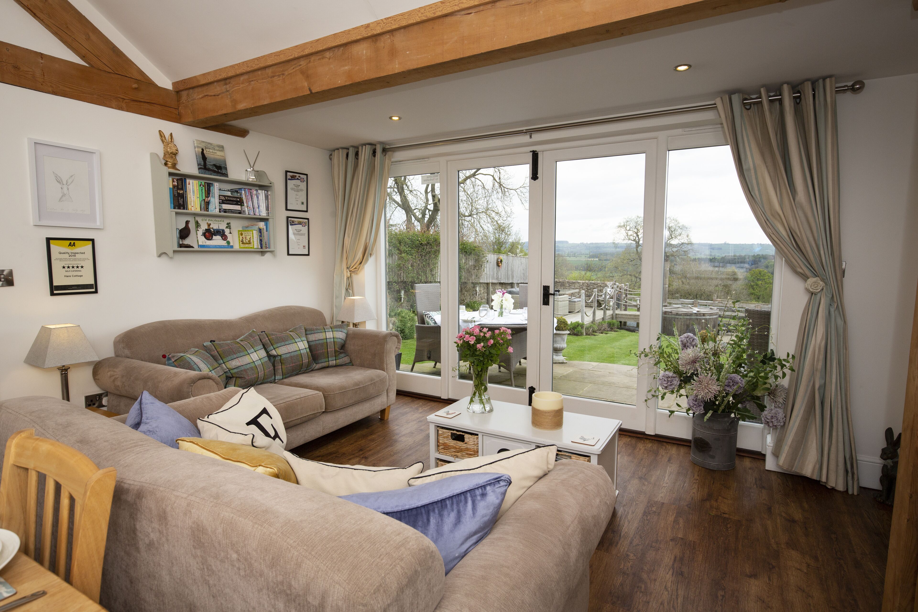 TV connectée, cheminée, lecteur de DVD, livres