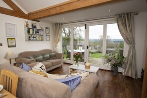 TV connectée, cheminée, lecteur de DVD, livres