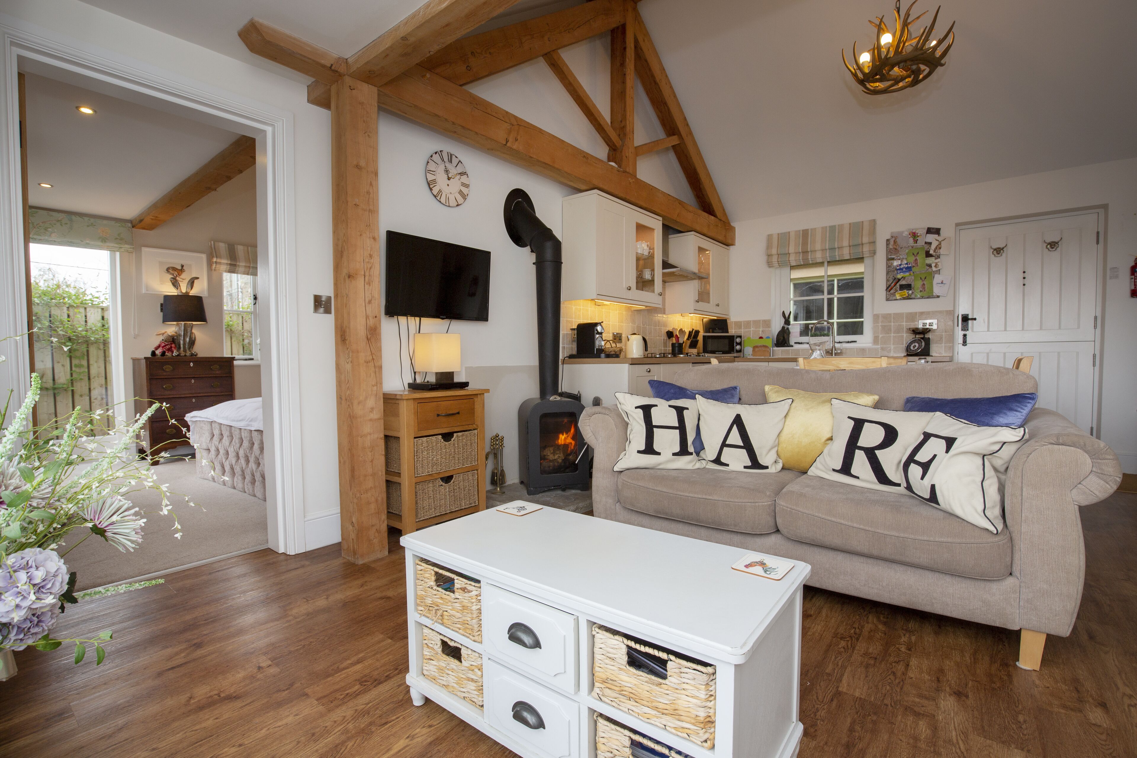 TV connectée, cheminée, lecteur de DVD, livres