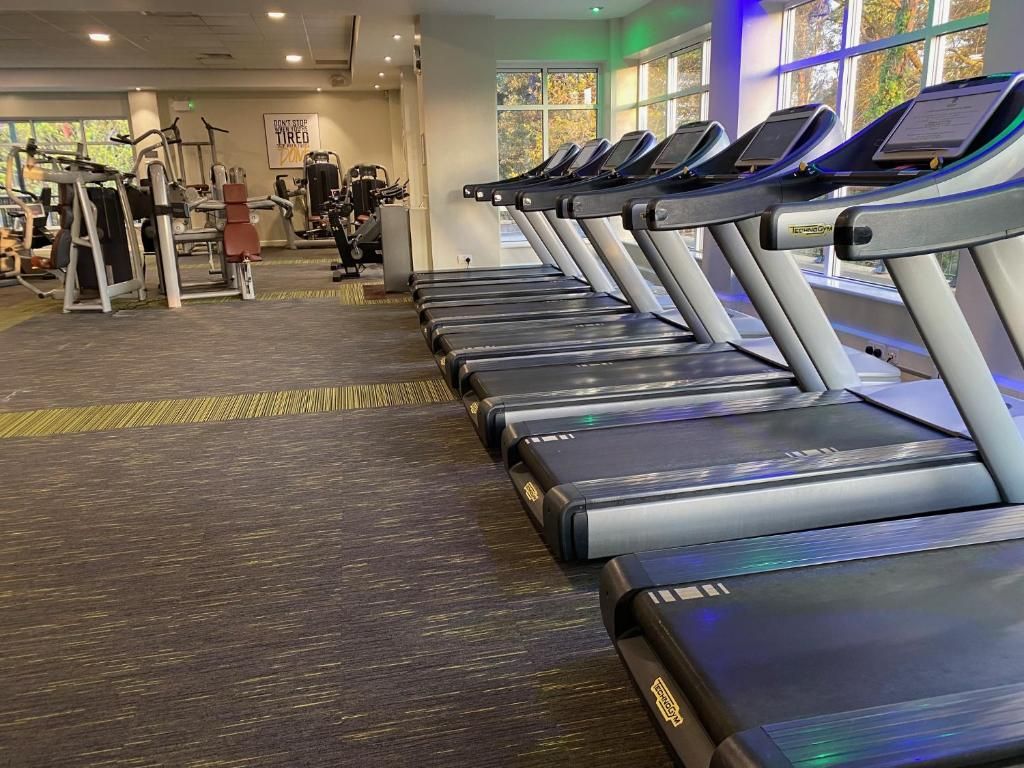 A gym with treadmills aligned in a row, exercise machines, and large windows with natural light.