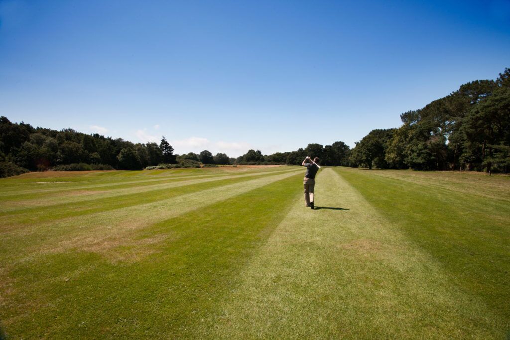 A golf course with a clear path and trees in the background.