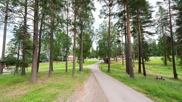 En asfalterad stig som går genom ett skogsområde med höga träd och en gräsklädd äng.