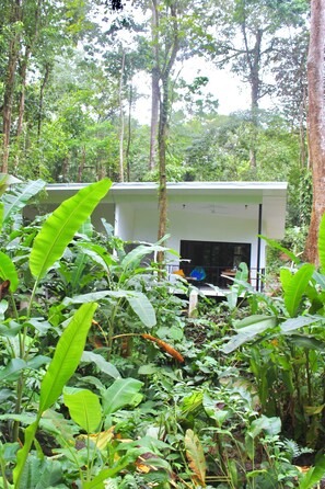 Property grounds - Boutique Villa Eden: Spacious, Modern in the Jungle y breakfast (Talamanca, Limón 70401 CR CR)