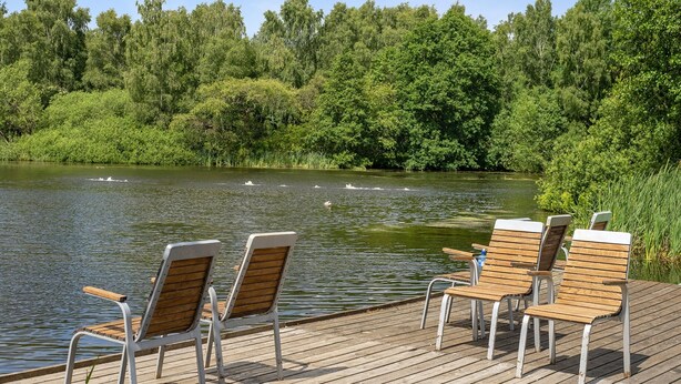Una terraza de madera con cuatro sillas de madera mirando a un lago tranquilo, rodeado de árboles verdes y frondosos.