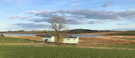 A rural landscape with a white house, a fenced field, and a body of water in the background.