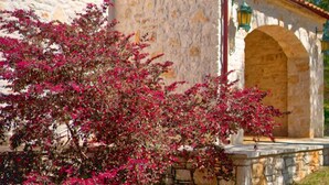 Um edifício de pedra com uma veneziana vermelha, um arco de pedra e um pequeno jardim com flores cor-de-rosa.