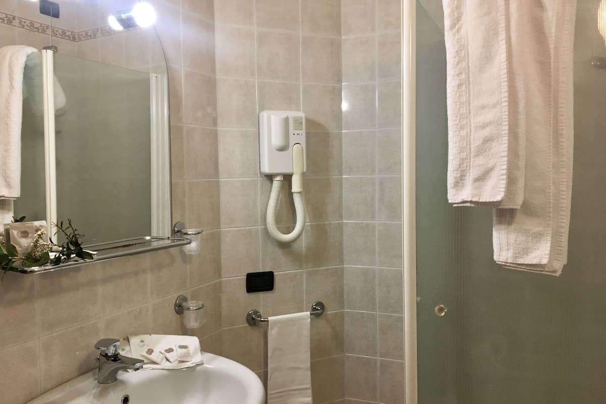 shower, hair dryer, bidet, towels
