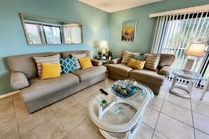 TV, DVD player, ping pong