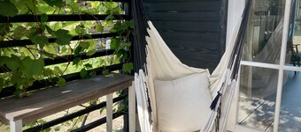 Historic modernized house centrally located