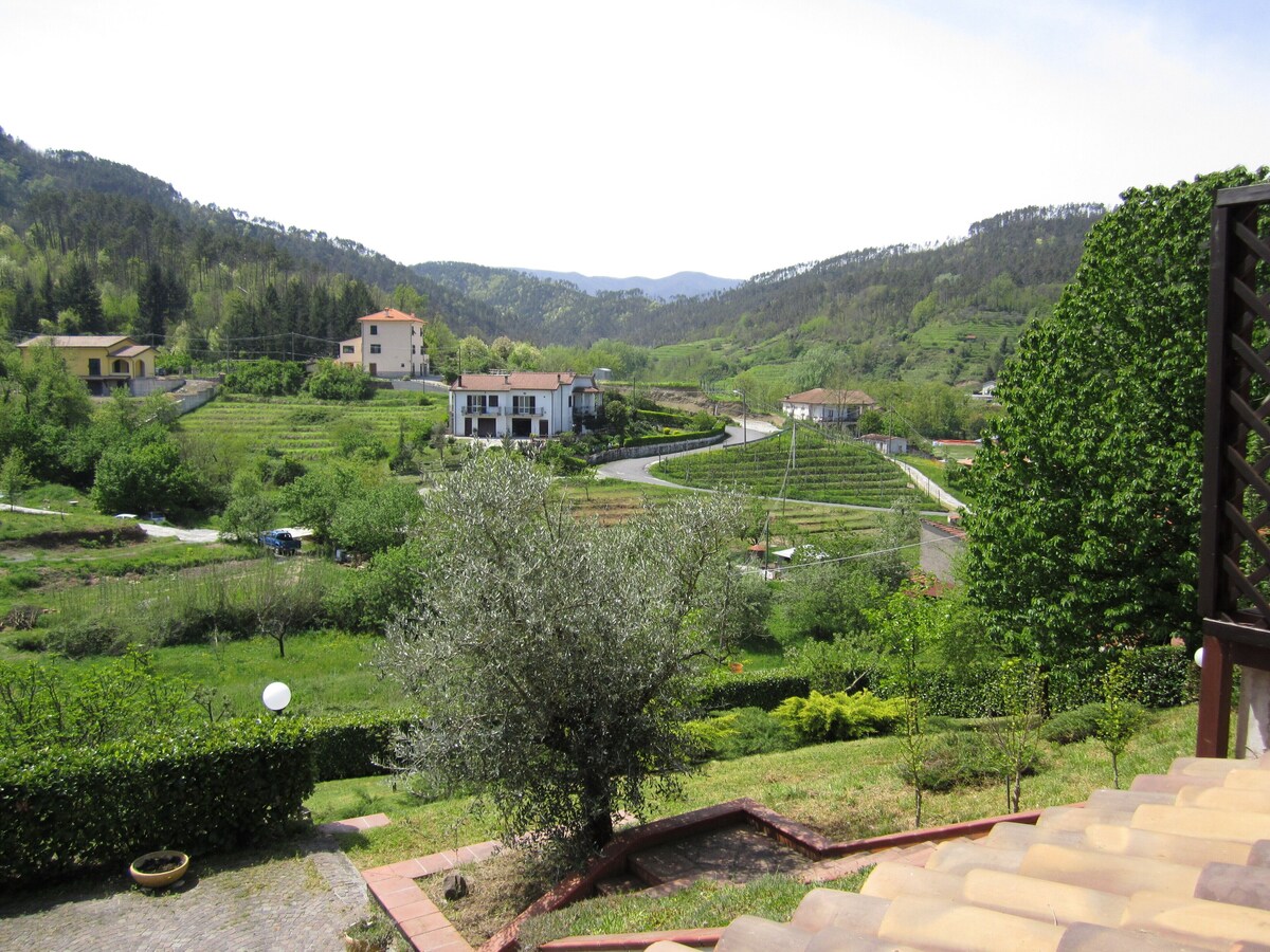 Bild für Gastgeberprofil