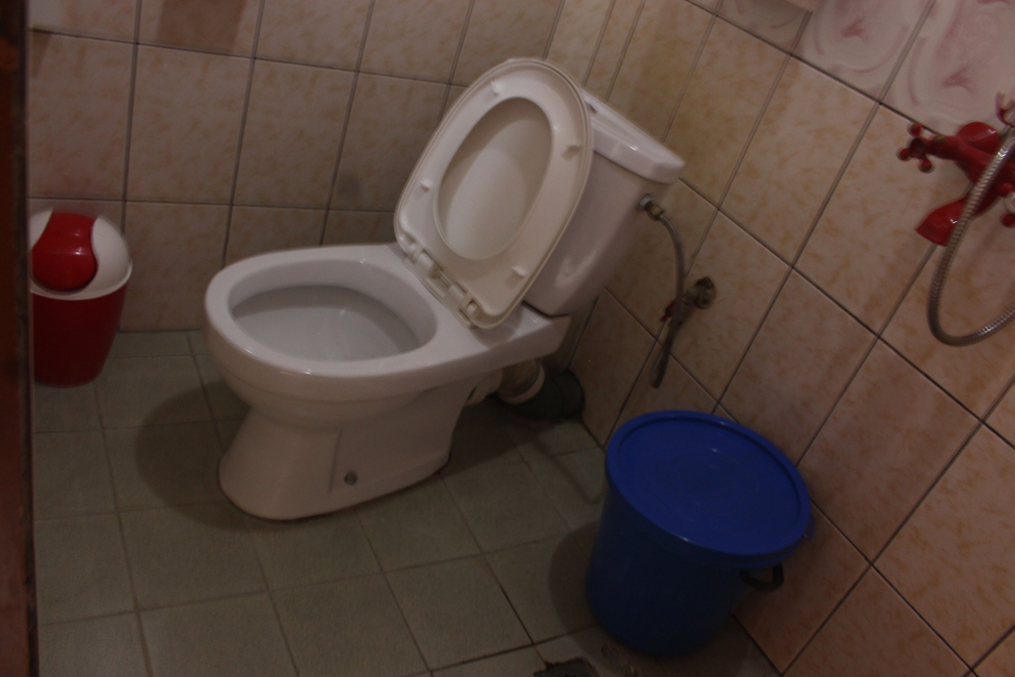 Un baño con un inodoro, un cubo azul y un bote de basura rojo.