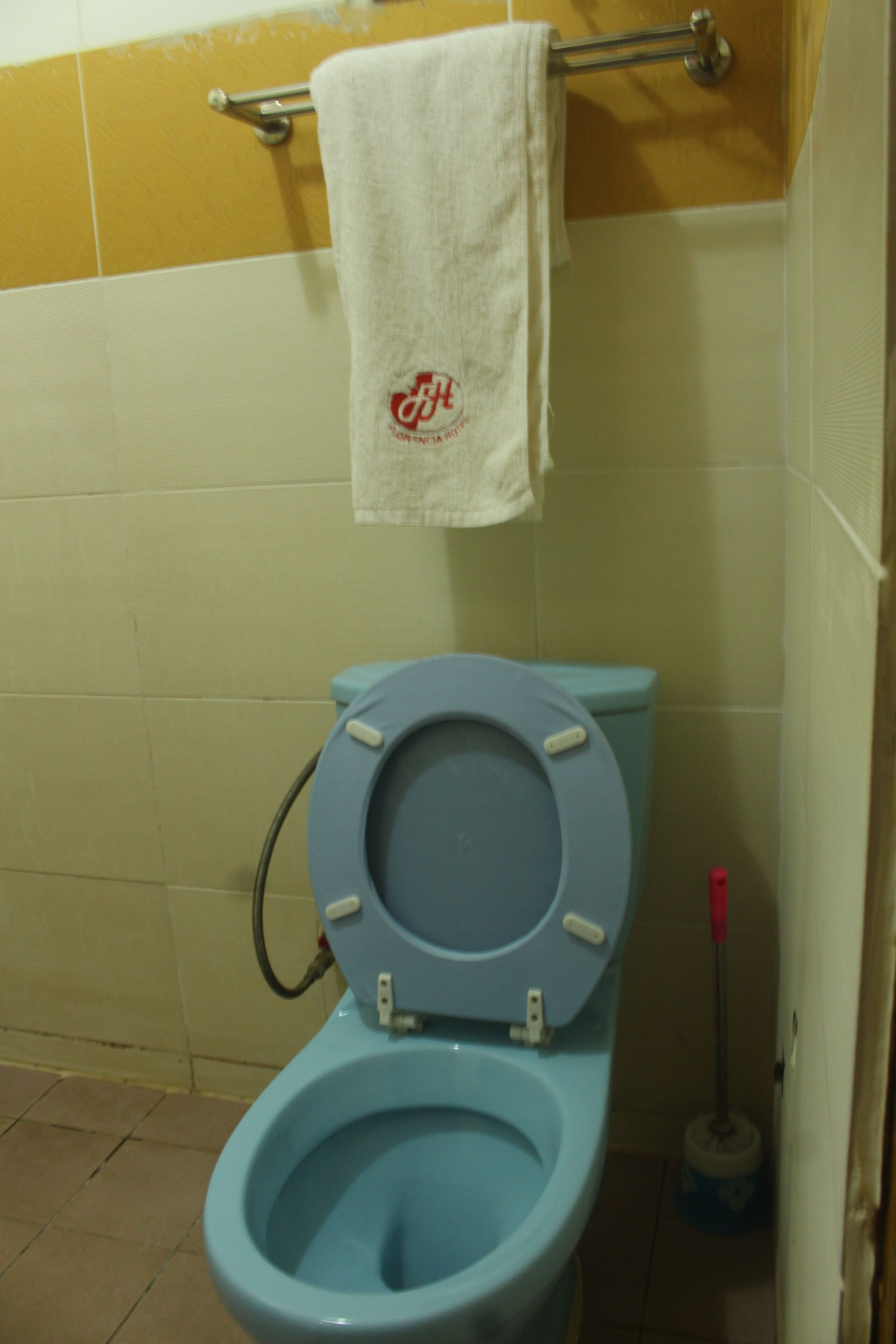 Une salle de bain avec des toilettes bleues, une serviette blanche suspendue à un porte-serviettes en métal et une serpillière appuyée contre le mur.