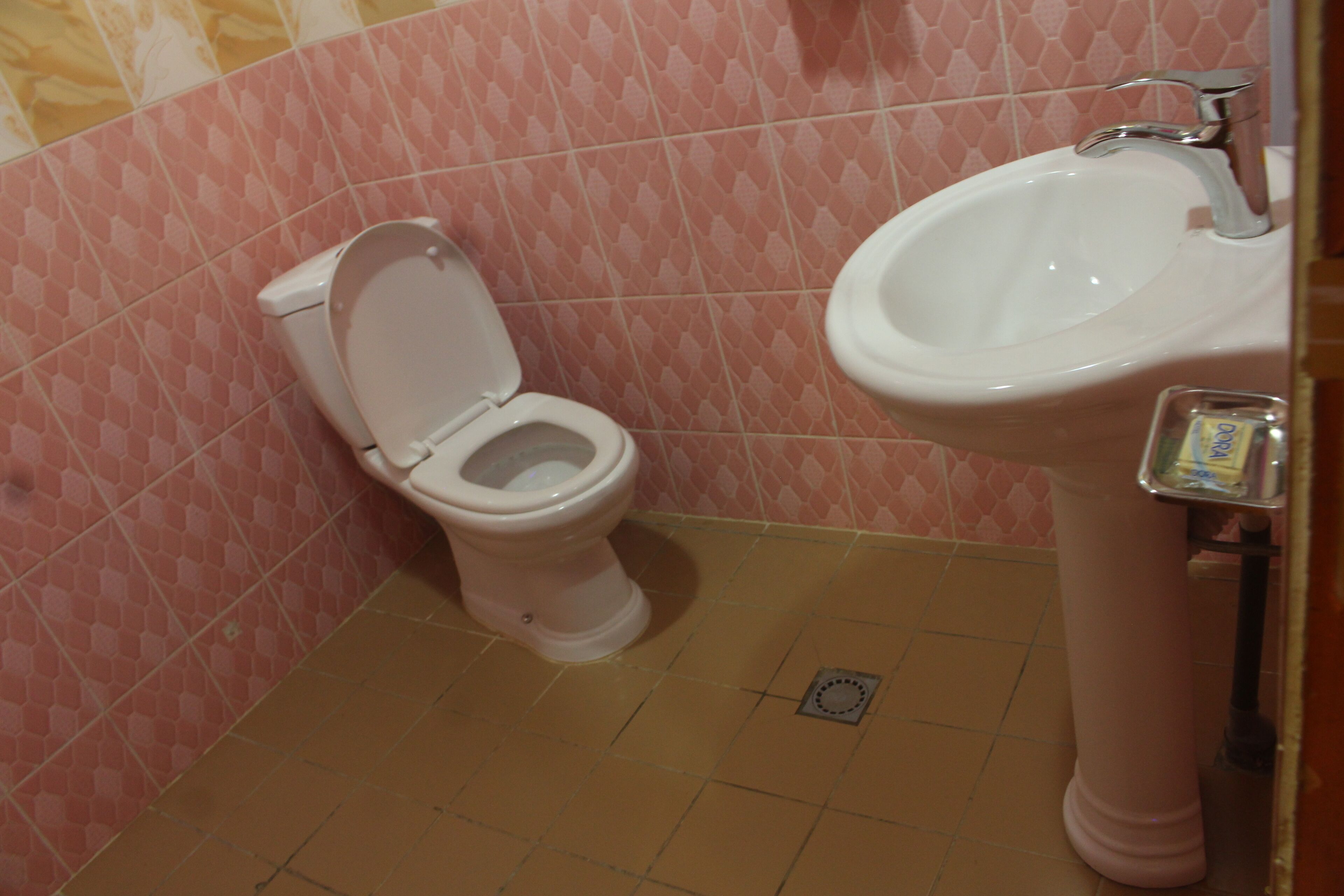 A bathroom with a toilet and a sink.