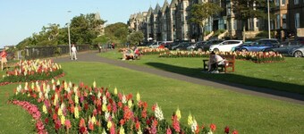 Luxury Cottage in the heart of St Andrews.
