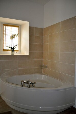 Combined shower/bathtub, hair dryer