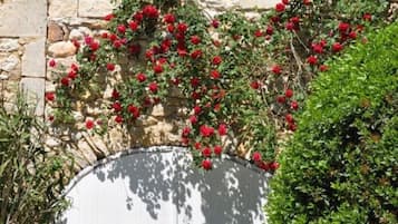 DĂ©tail de lâextĂ©rieur