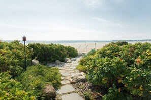 على الشاطئ، كراسي للتشمس